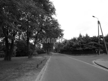 Zdjęcie 14674547