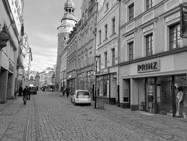 Zdjęcie 14679161