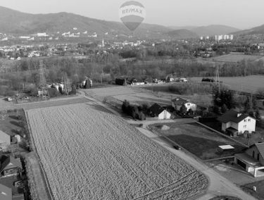 Zdjęcie 14680402