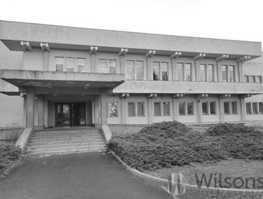 Zdjęcie 14682516