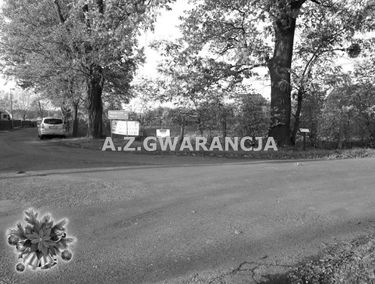 Zdjęcie 14682902