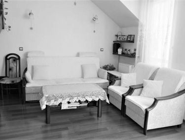 Zdjęcie 14683012