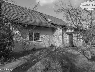Zdjęcie 14683599