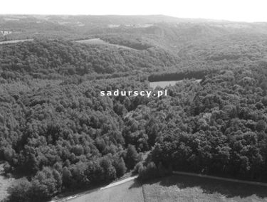 Zdjęcie 14684267