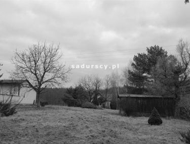 Zdjęcie 14684341