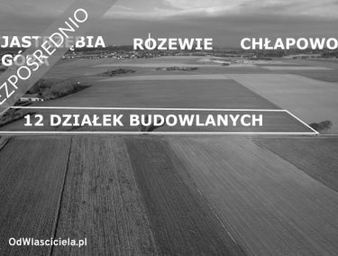 Zdjęcie 14685842