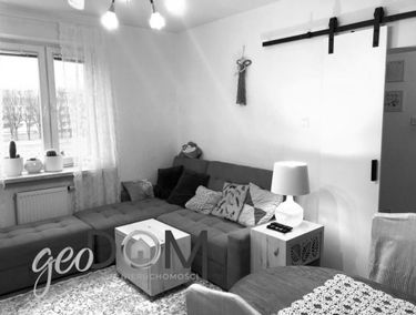 Zdjęcie 14687794