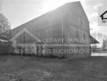 Zdjęcie 14687945