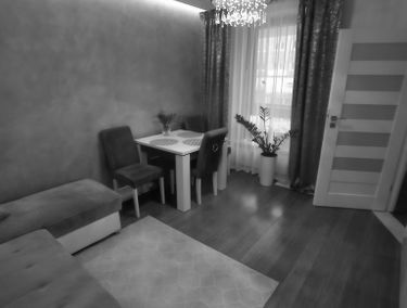 Zdjęcie 14688308