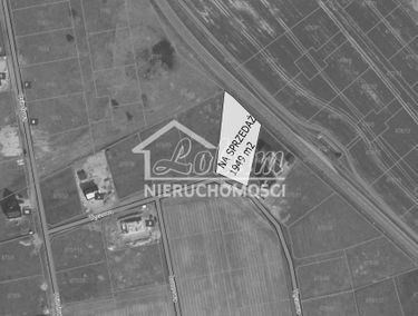 Zdjęcie 14689216