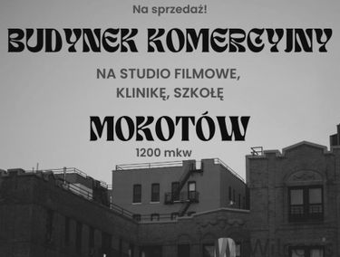 Zdjęcie 14693933