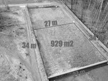 Zdjęcie 14694272