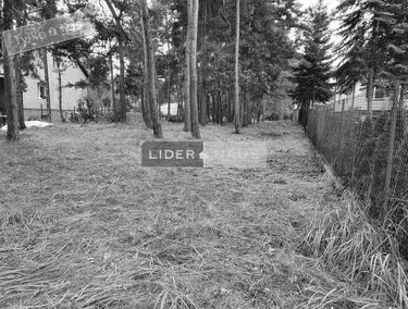 Zdjęcie 14694278