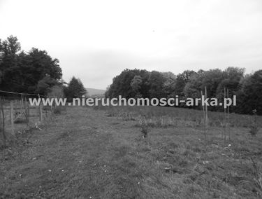 Zdjęcie 14694705