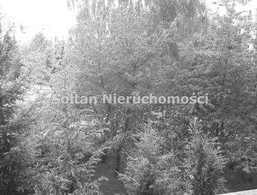 Zdjęcie 14695164