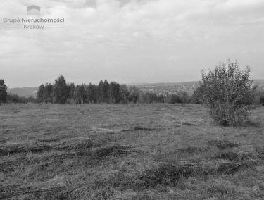 Zdjęcie 14695235