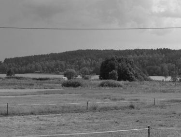 Zdjęcie 14695732