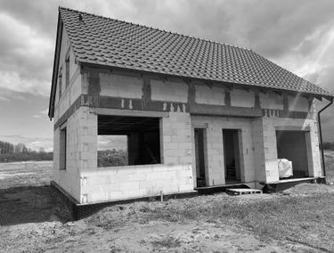 Zdjęcie 14695895