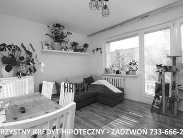 Zdjęcie 14695956