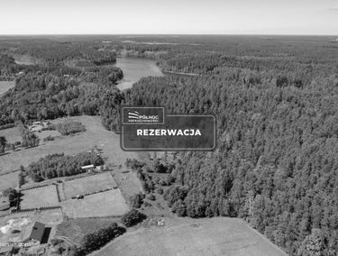 Zdjęcie 14697193