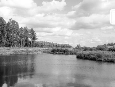 Zdjęcie 14697199