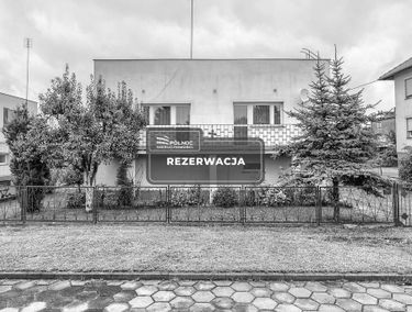 Zdjęcie 14697840