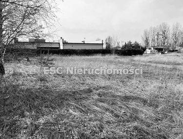 Zdjęcie 14700097