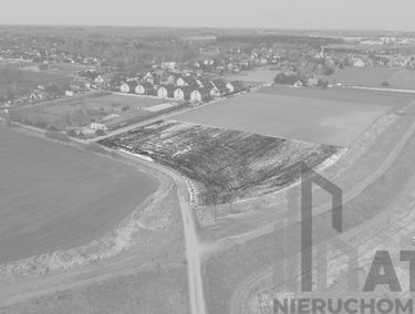 Zdjęcie 14701463