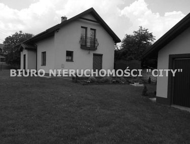 Zdjęcie 14701532