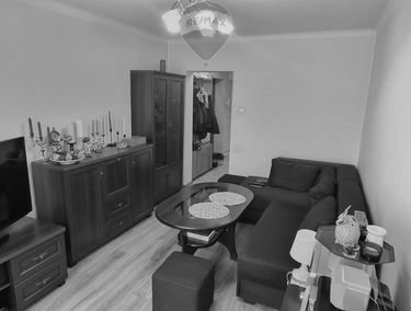 Zdjęcie 14702606
