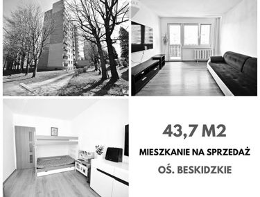 Zdjęcie 14702646