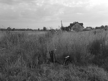 Zdjęcie 14702670