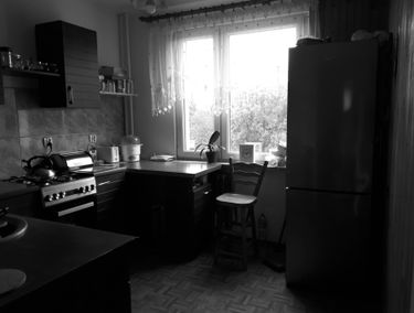 Zdjęcie 14702673
