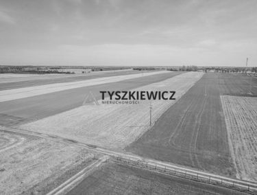 Zdjęcie 14702845