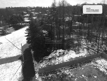 Zdjęcie 14703148