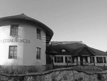 Zdjęcie 14703995