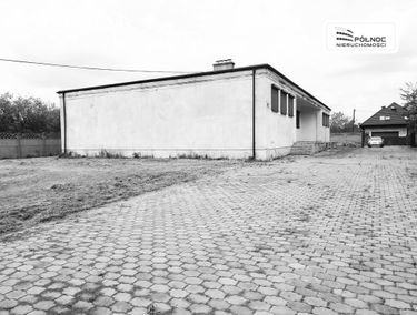 Zdjęcie 14704151