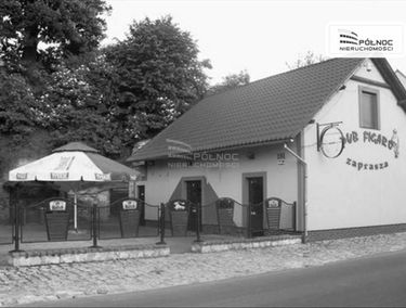 Zdjęcie 14704269