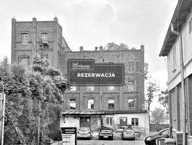 Zdjęcie 14704528