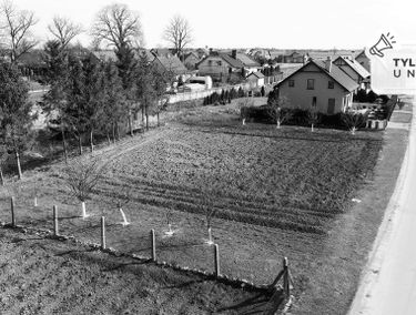 Zdjęcie 14705021