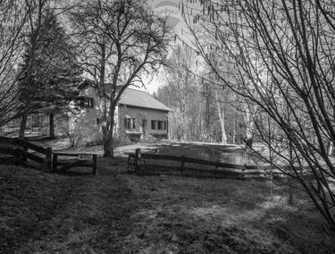 Zdjęcie 14705227