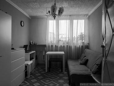 Zdjęcie 14705670