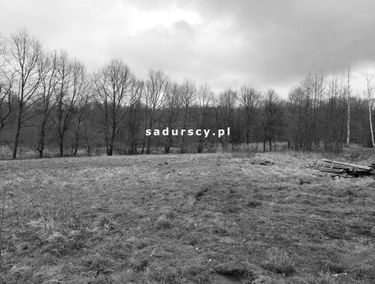 Zdjęcie 14706220