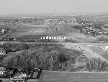 Zdjęcie 14706253