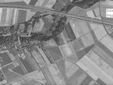Zdjęcie 14706701