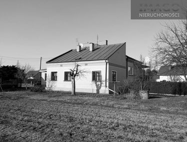 Zdjęcie 14707266