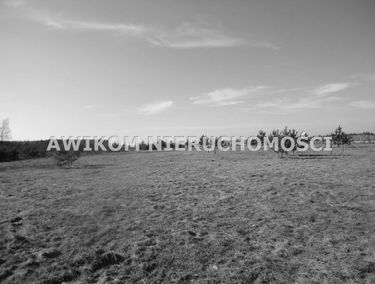 Zdjęcie 14710322