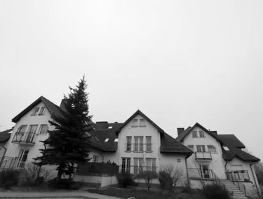 Zdjęcie 14710395