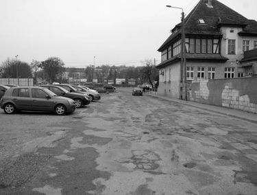 Zdjęcie 14710404