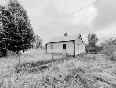 Zdjęcie 14710513